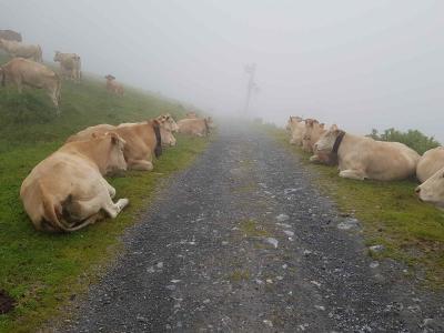 Traversée des Pyrénées – Étape 13 – Les Viellettes > Cauterets