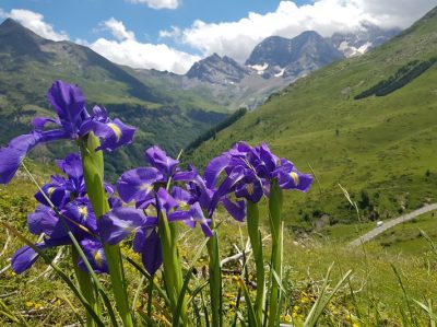 Traversée des Pyrénées — étape 15 : refuge des Oulettes > gîte de Saugué