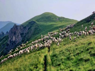 Traversée des Pyrénées – Étape 23 – Eylie d'en haut - Pla de Lalaut (Maison du Valier)