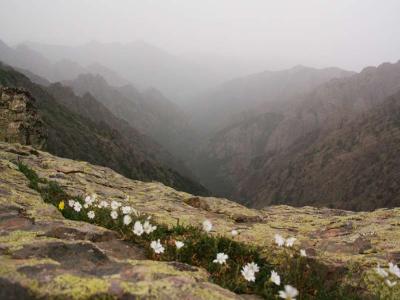 Corsica GR20 Nord-Sud – Étape 3 – Carozzu - Ascu Stagnu