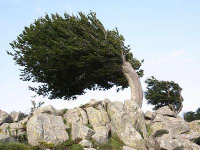 Corsica GR20 Nord-Sud – Étape 5 – U Vallone - Ciottulu à i Mori - Bocca a Reta