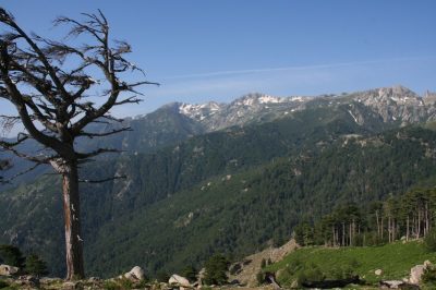 Corsica GR20 Nord-Sud — étape 8 : Vizzavona - Capanelle - Prati