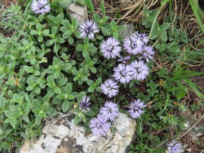 Alpes Gr 5 Sud - Modane Menton — étape 2 : Vallée étroite - Plampinet