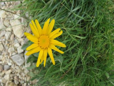 Alpes Gr 5 Sud - Modane Menton – Étape 4 – Villard St.Pancrare - Brunissard