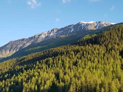 Hommage aux Origines – Étape 14 – Col de la Flüela > Tschierv