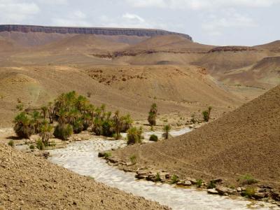 Désert dans la vallée du Drâa. – Étape 2 – Zagora > Oasis de Diabi