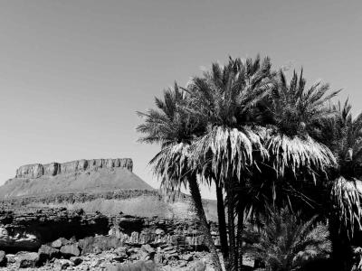 Désert dans la vallée du Drâa. – Étape 3 – Oasis de Diabi > Oued de Lmhaser