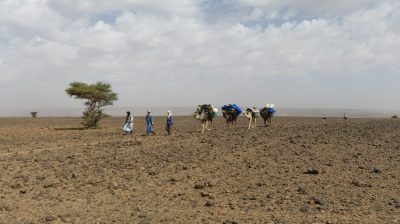 Désert dans la vallée du Drâa. — étape 4 : Oued de Lmhaser > Dunes de Chegaga