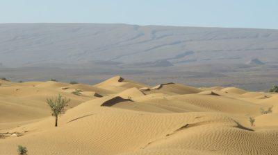 Désert dans la vallée du Drâa. — étape 4 : Oued de Lmhaser > Dunes de Chegaga