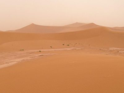 Désert dans la vallée du Drâa. — étape 4 : Oued de Lmhaser > Dunes de Chegaga