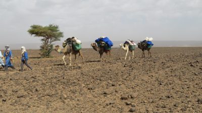 Désert dans la vallée du Drâa. — étape 4 : Oued de Lmhaser > Dunes de Chegaga