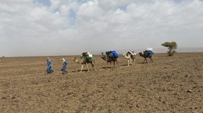 Désert dans la vallée du Drâa. — étape 4 : Oued de Lmhaser > Dunes de Chegaga