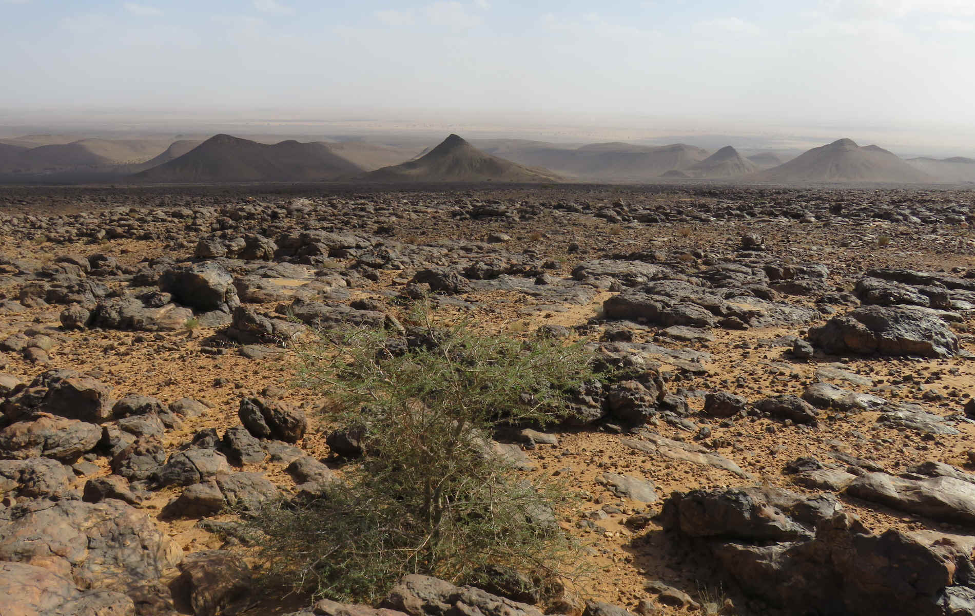 Désert dans la vallée du Drâa. — étape 6 : Dunes Barcanes > Oasis Achguig > Col et Oasis Laiouge