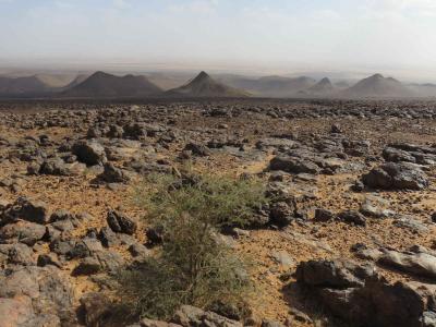 Désert dans la vallée du Drâa. – Étape 6 – Dunes Barcanes > Oasis Achguig > Col et Oasis Laiouge