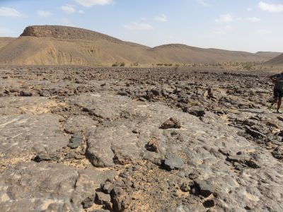 Désert dans la vallée du Drâa. — étape 6 : Dunes Barcanes > Oasis Achguig > Col et Oasis Laiouge