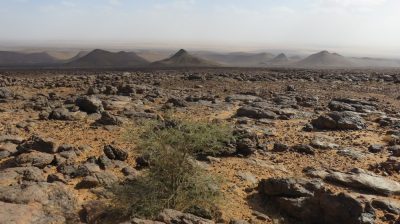 Désert dans la vallée du Drâa. — étape 6 : Dunes Barcanes > Oasis Achguig > Col et Oasis Laiouge