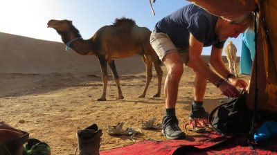 Désert dans la vallée du Drâa. — étape 6 : Dunes Barcanes > Oasis Achguig > Col et Oasis Laiouge