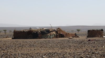 Désert dans la vallée du Drâa. — étape 6 : Dunes Barcanes > Oasis Achguig > Col et Oasis Laiouge