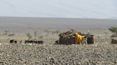Désert dans la vallée du Drâa. — étape 6 : Dunes Barcanes > Oasis Achguig > Col et Oasis Laiouge
