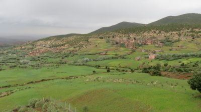 Désert dans la vallée du Drâa. — étape 8 : Dunettes de Zagora > Marrakech