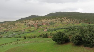 Désert dans la vallée du Drâa. — étape 8 : Dunettes de Zagora > Marrakech