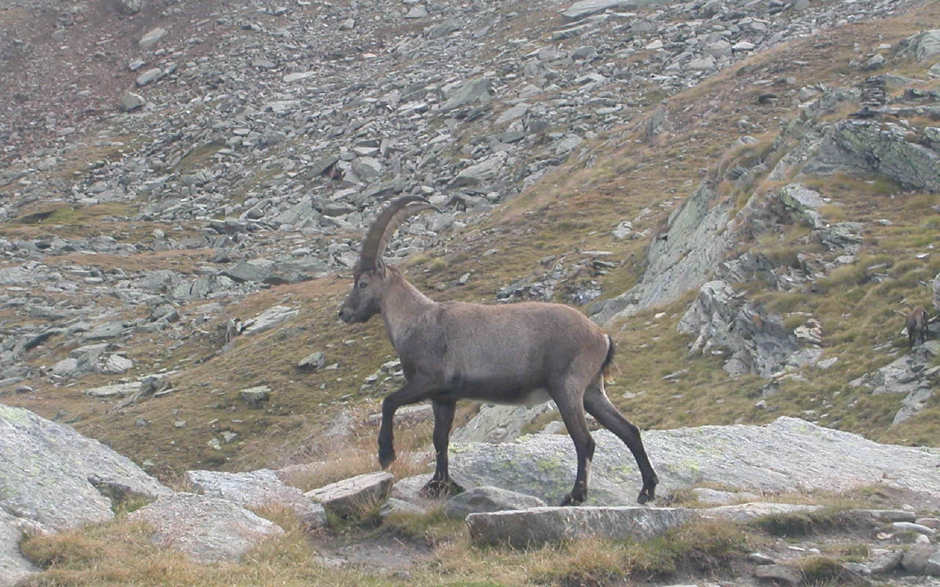 Tour du Grand Paradis — étape 1 : en route vers le refuge Vittorio Sella