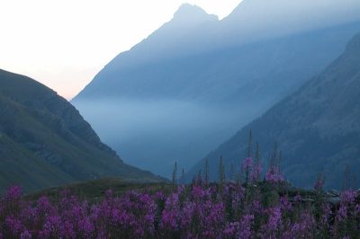 Tour du Grand Paradis — étape 5 : Bassac Béré, Traversière et Bezzi..