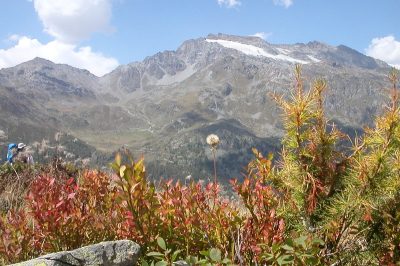 Tour du Grand Paradis — étape 6 : Haute route glacière et fin du voyage.