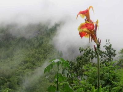 Île de la Réunion – Étape 6 – Marla - Cilaos