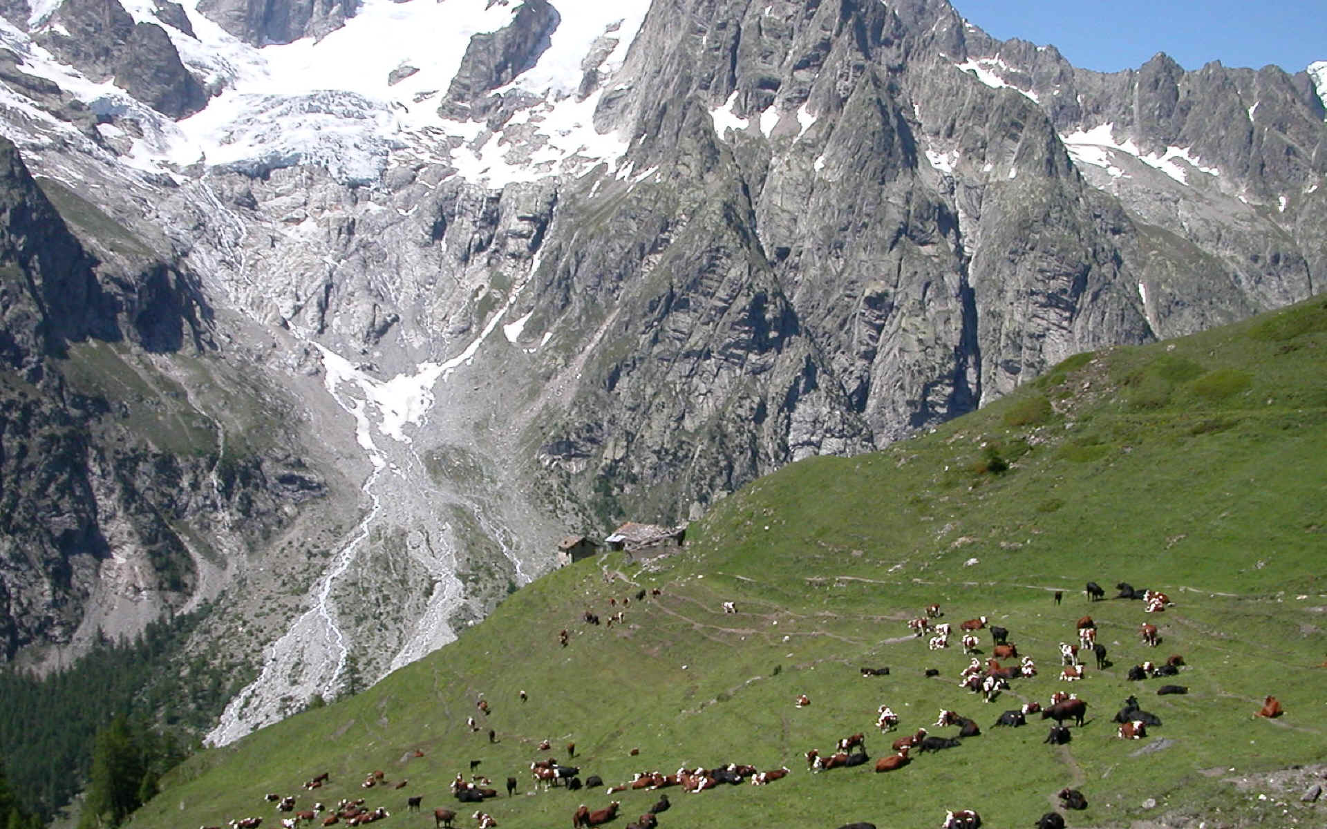 Tour du Mont Blanc — étape 4 : Le Val Ferret à la recherche d'Elena