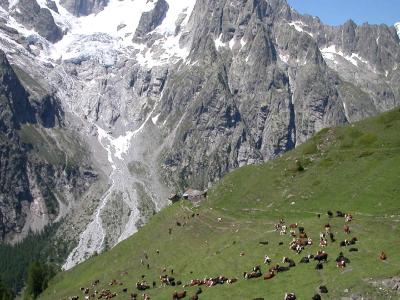 Tour du Mont Blanc – Étape 4 – Le Val Ferret à la recherche d'Elena
