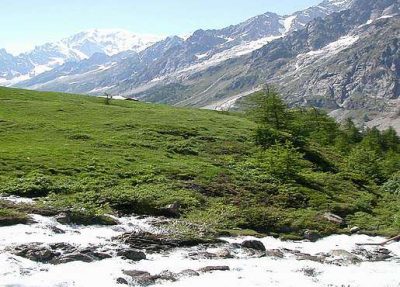 Tour du Mont Blanc — étape 4 : Le Val Ferret à la recherche d'Elena