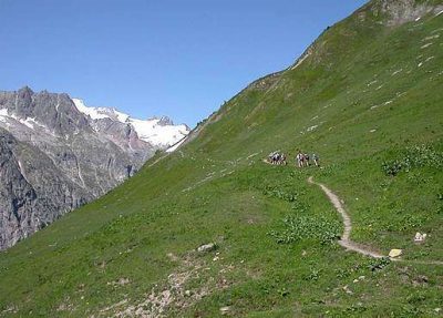 Tour du Mont Blanc — étape 4 : Le Val Ferret à la recherche d'Elena