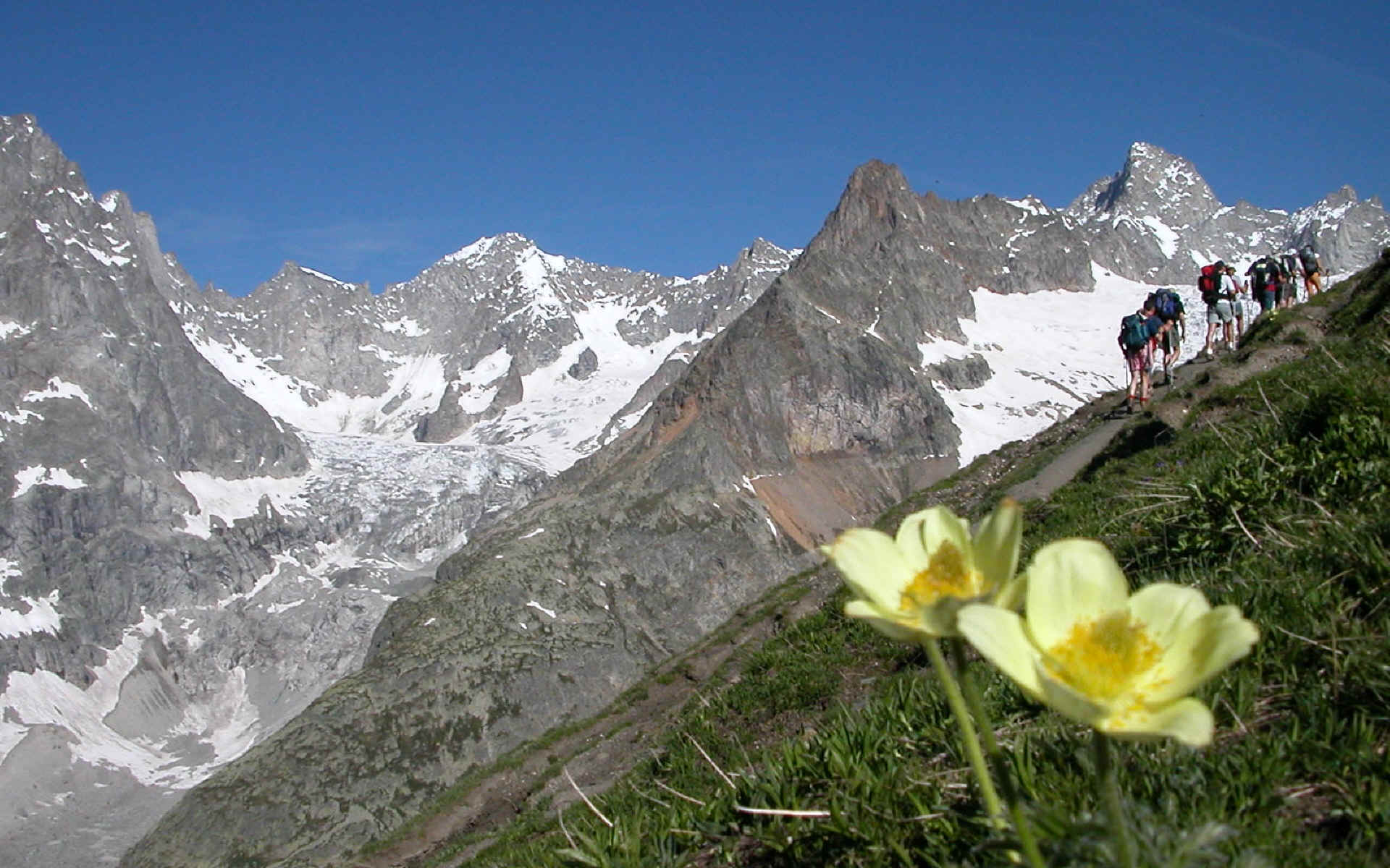 Tour du Mont Blanc — étape 5 : Italie - Suisse vers le Val d'Arpette