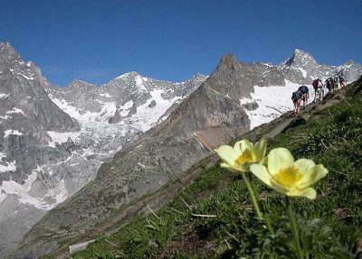 Tour du Mont Blanc — étape 5 : Italie - Suisse vers le Val d'Arpette