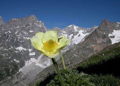 Tour du Mont Blanc — étape 5 : Italie - Suisse vers le Val d'Arpette