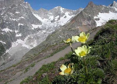 Tour du Mont Blanc — étape 5 : Italie - Suisse vers le Val d'Arpette