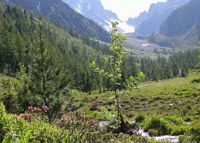 Tour du Mont Blanc — étape 5 : Italie - Suisse vers le Val d'Arpette