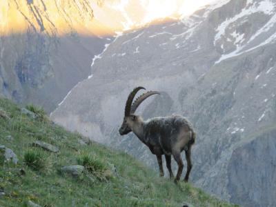 Le TOR des Géants. – Étape 5 – Eaux Rousses > refuge Vittorio Sella